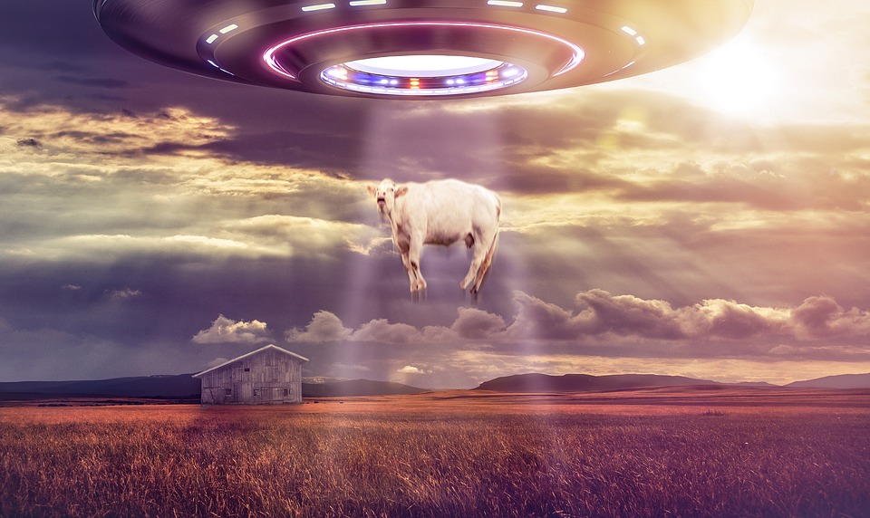 A cow being taken by a ufo